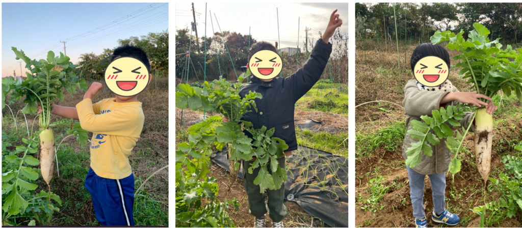 オハイアリイ農園👨‍🌾 今年最後の収穫祭でした!