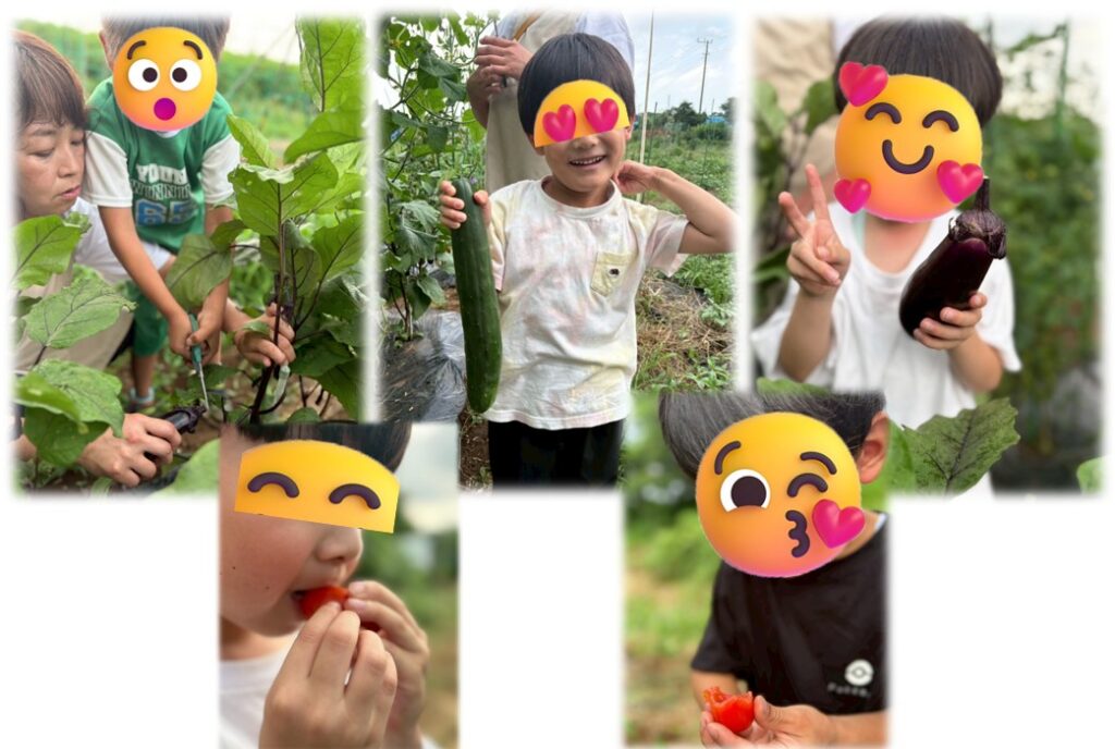 畑で🍅を丸かじり！今日のおやつ🥒😋！！