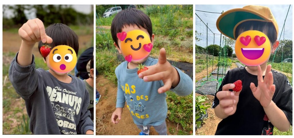 オハイアリイ農園　いちご🍓収穫😋