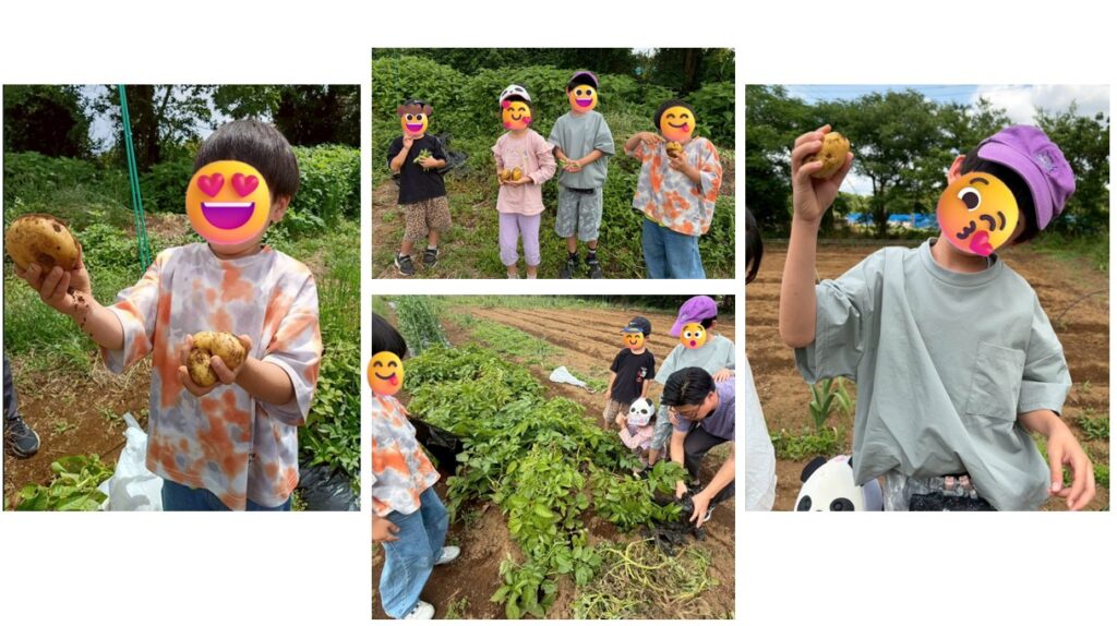 オハイアリイ農園：じゃがいも堀り🥔🪏体験
