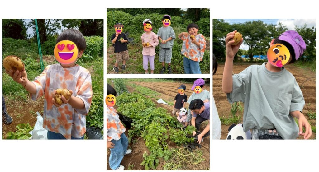 オハイアリイ農園：じゃがいも堀り🥔🪏体験